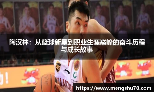 陶汉林：从篮球新星到职业生涯巅峰的奋斗历程与成长故事