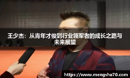 王少杰：从青年才俊到行业领军者的成长之路与未来展望